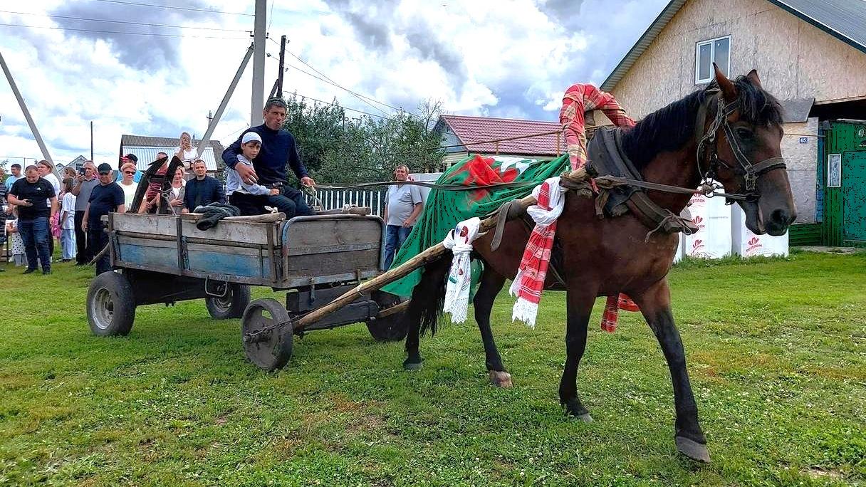 Сельский Сабантуй отметят в Мордовии